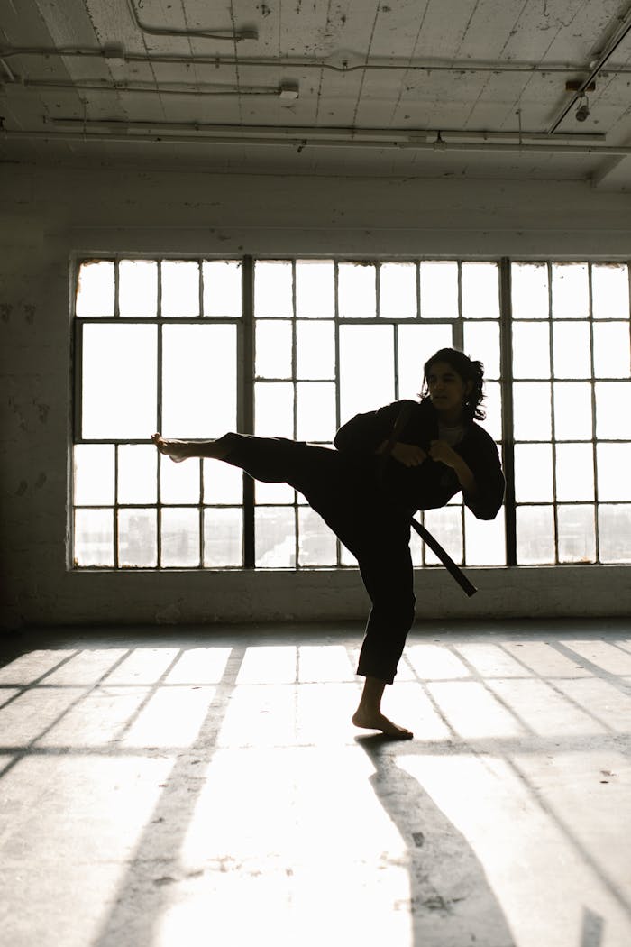 journey Silhouette of a martial artist performing a high kick in a spacious, sunlit room.